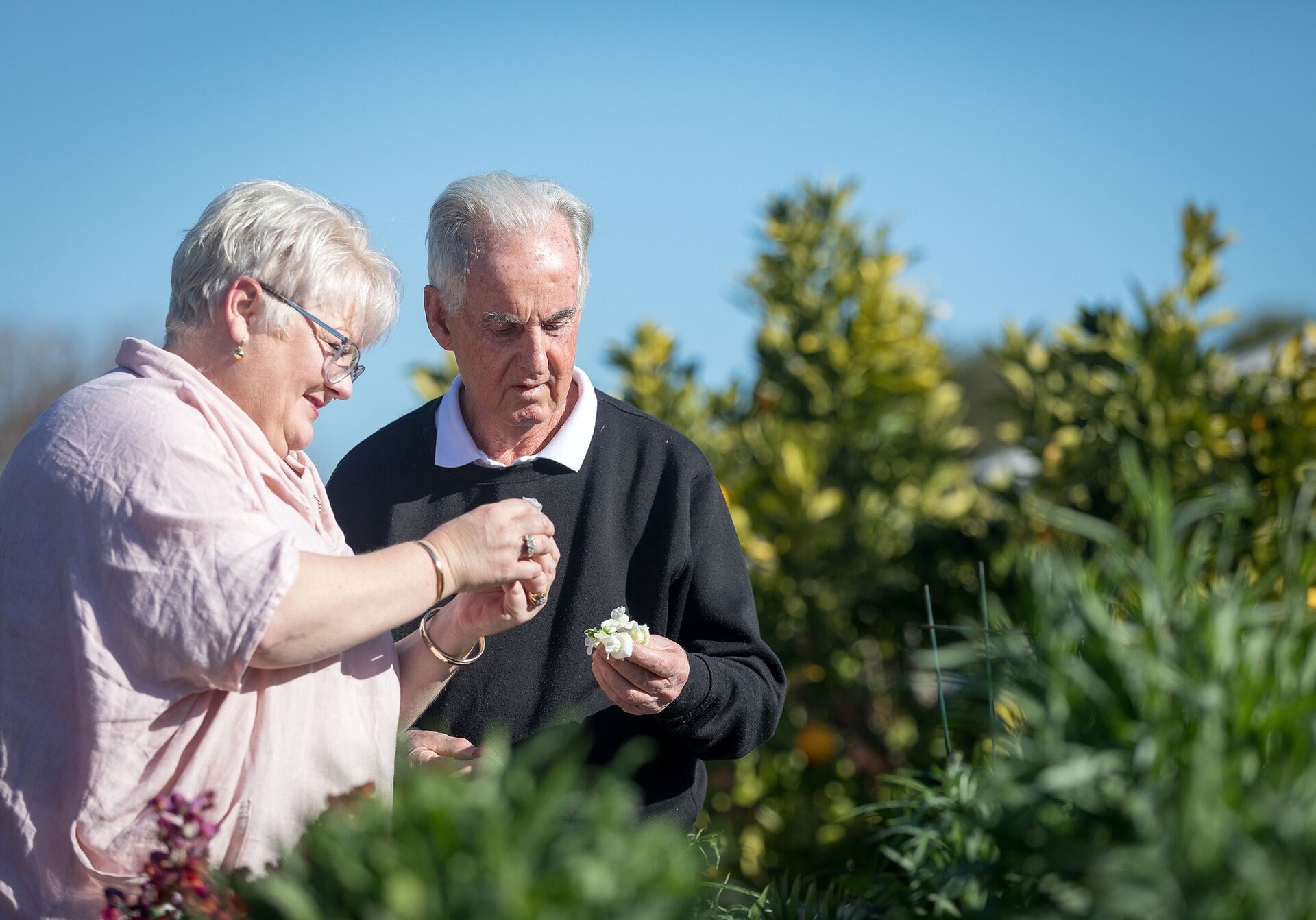 couple in garden