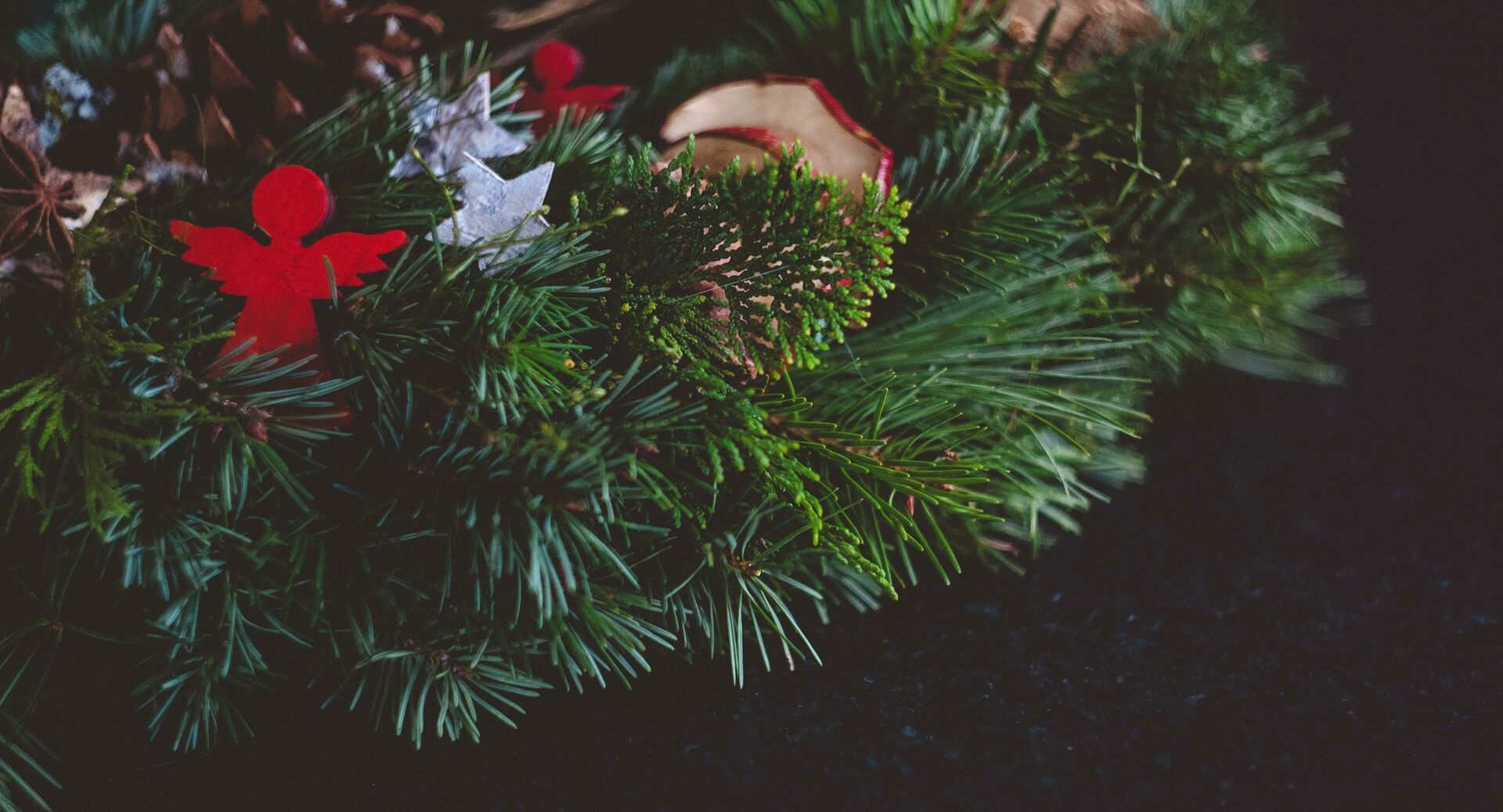 Pexels markusspiske 250676