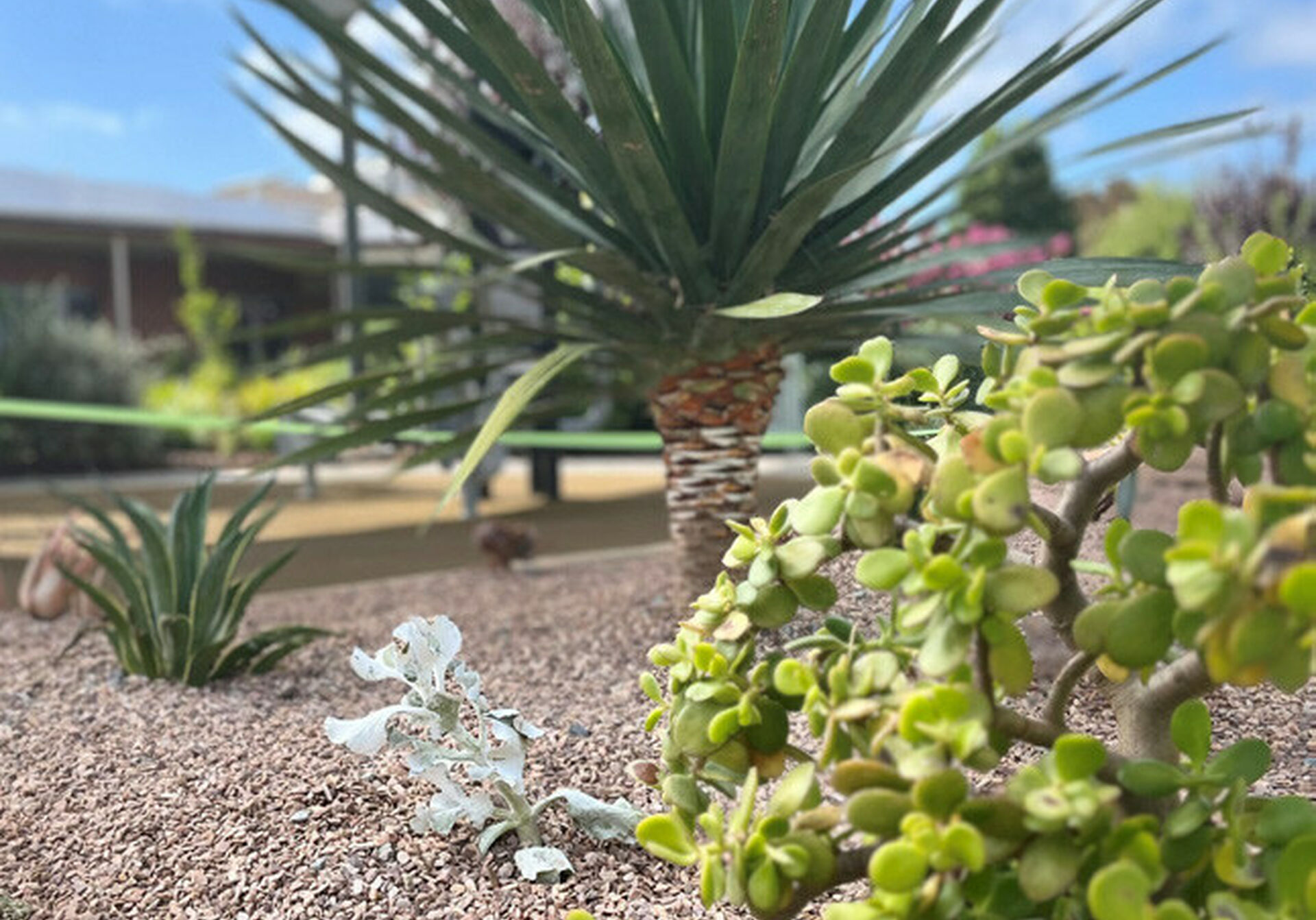 04404 Alwyndor Newsletter Autumn 2023 print ready 002